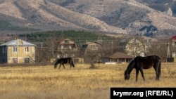 В зоне сноса: как выглядит село Заречное, где планируют снести дома ради строительства трассы «Таврида» (фотогалерея)