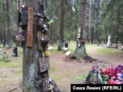 Памятные знаки на деревьях. Левашовская пустошь