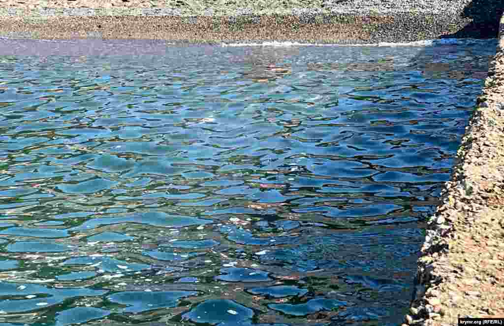 А есть пляжи с не совсем привлекательной на вид морской водой,&nbsp;Судак, Крым, начало августа 2024 г.