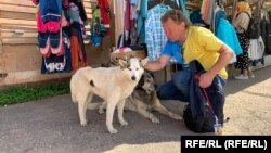 Владимир Сухоруков с уличными собаками в Печорах