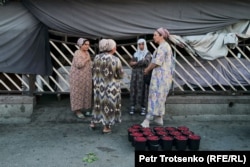 Панчшанбе базарында таңқурай сатып тұрған әйелдер. Хожант, Тәжікстан. 15 маусым, 2024 жыл.