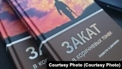 Обложка книги "Закат в коричневых тонах" 