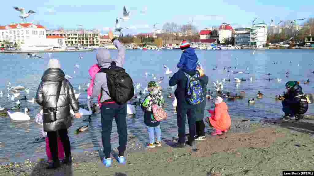 Люди кормят птиц, нахальные чайки стараются выхватить еду прямо из рук