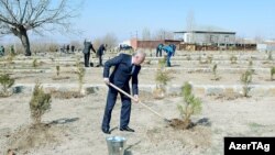 Naxçıvan. Vasif Talibov iməclikdə, 25 Mart 2017