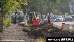 В ходе реконструкции улицы Льва Толстого в Севастополе срубили 256 деревьев и 222 кустарника 