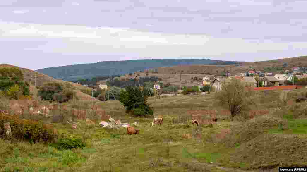 На лугу в долине (балке) реки Курцы, на восточной окраине села Украинка. Дальше, за холмом слева, виднеются усадьбы соседнего села Петропавловка